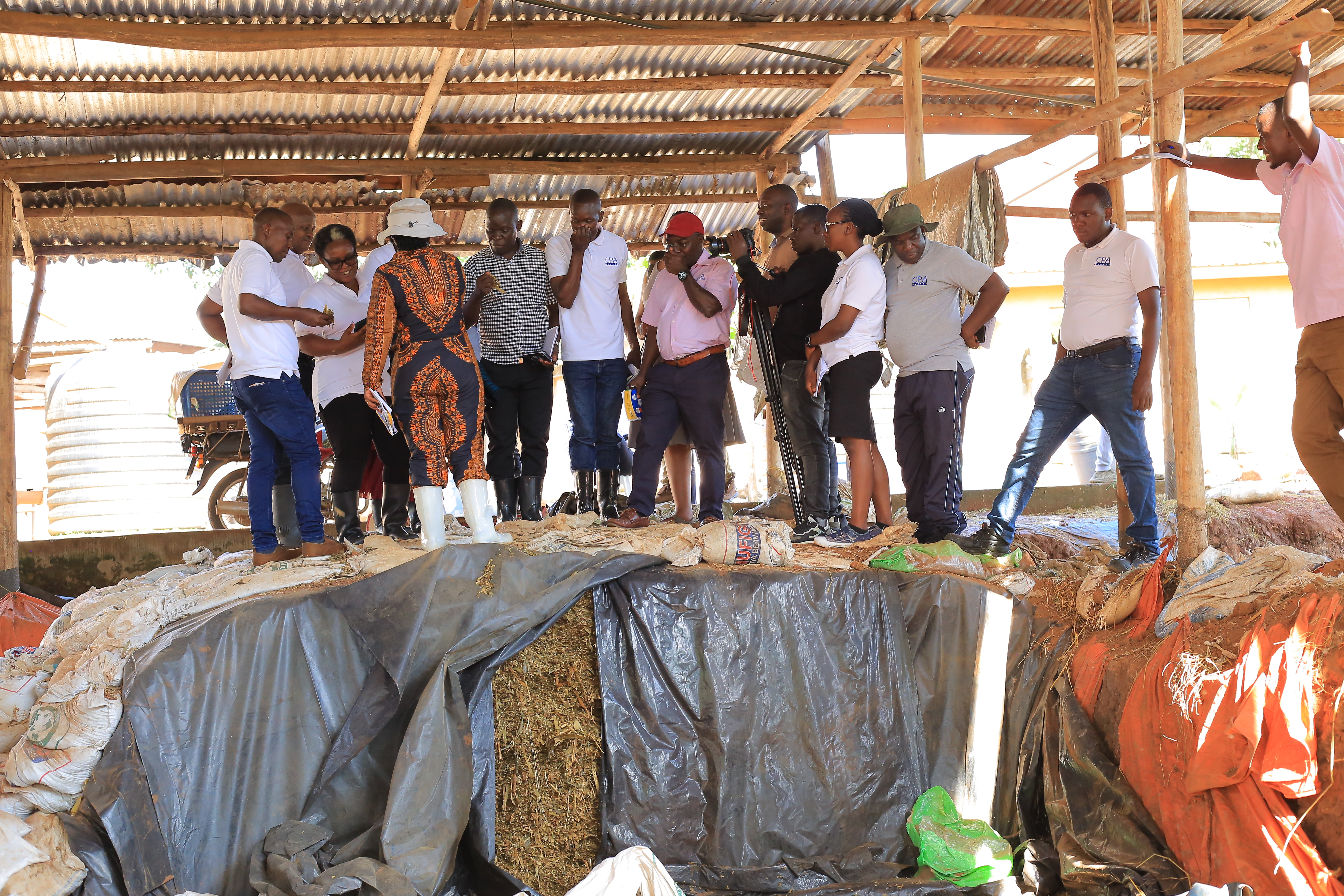 CPA Jackline Ayorekire explaining silage making at the farm