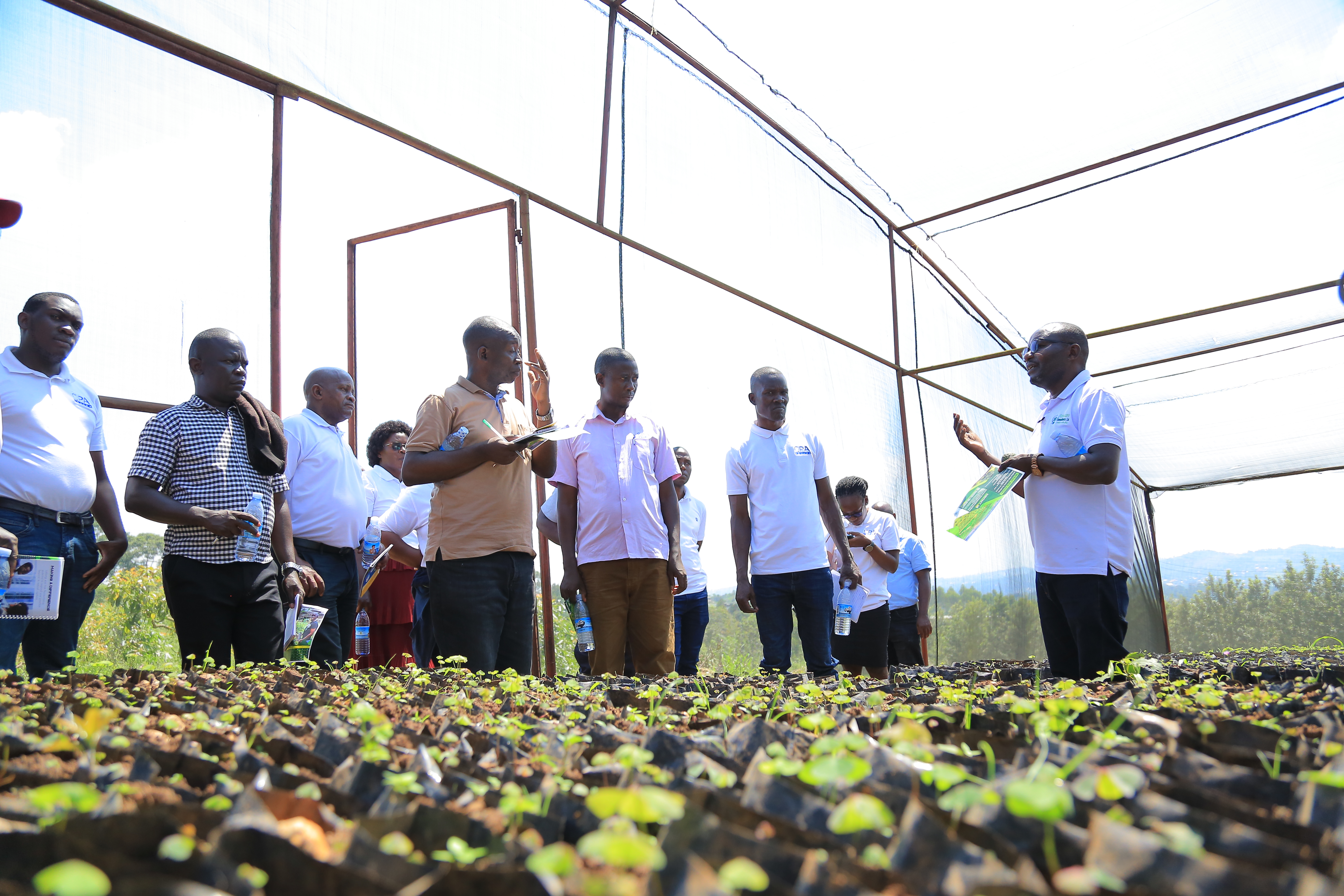 Mr Martins Nyakone, Team lead at Musubi Farm taking participants through the process of Hass avocado farming.